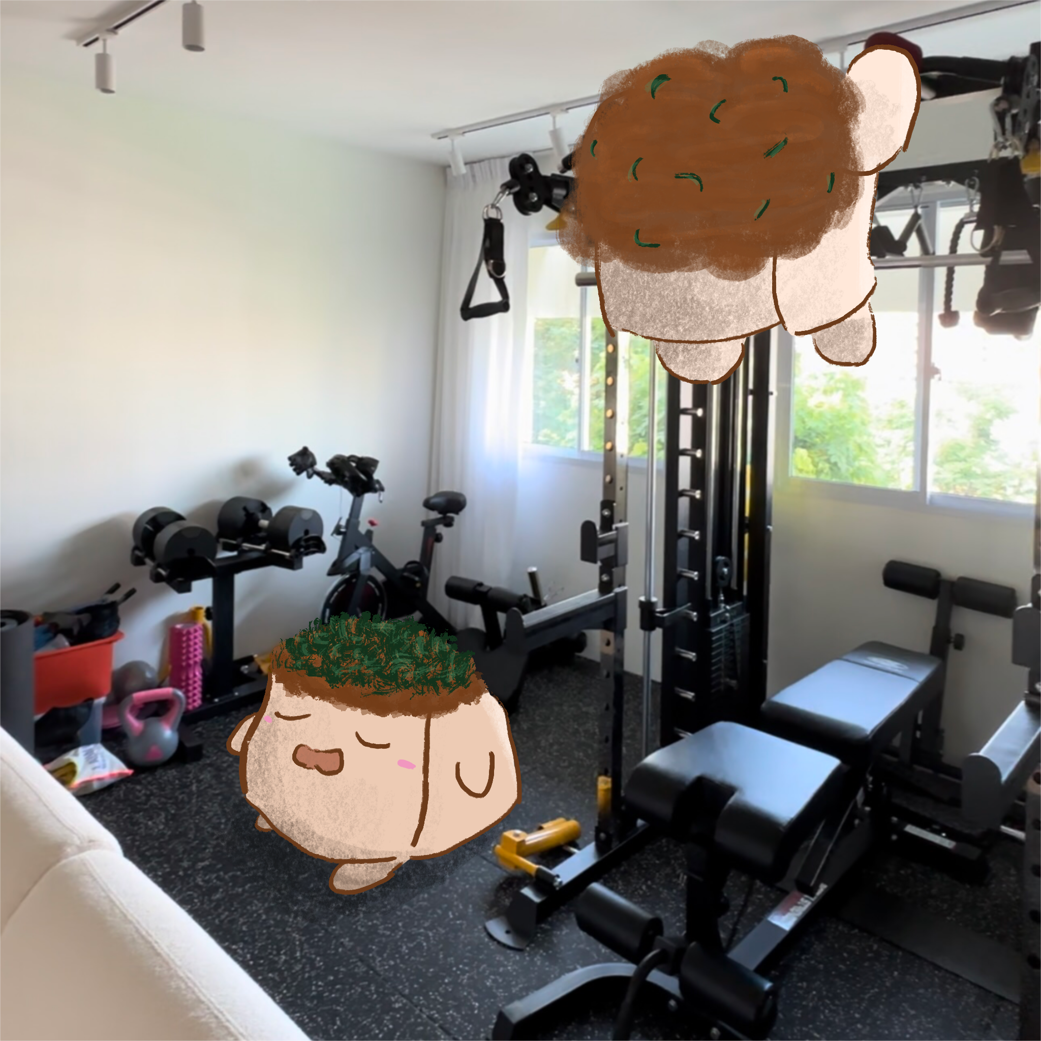 Our Singapore home gym setup: what you need from equipment to cost